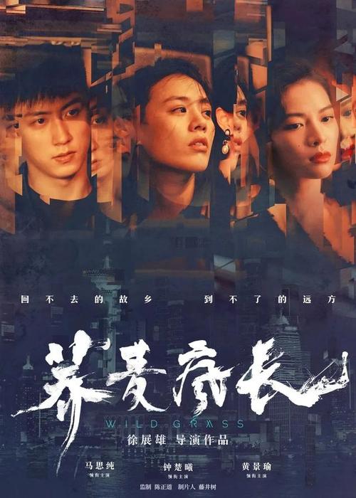 西北卫生科学大学学历认证